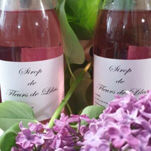 Sirop de fleurs de lilas